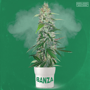 Banza