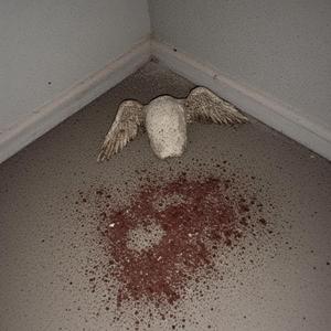 Dont lemme get u (feat. Whokilledhoops)