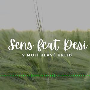 Sens - v mojí hlavě úklid (feat. Desi)