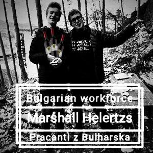 Bulgarian workforce