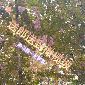 送郎送到橄榄坡(1)