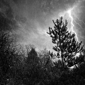 Que Suene La Campanera