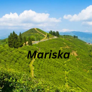 Mariska