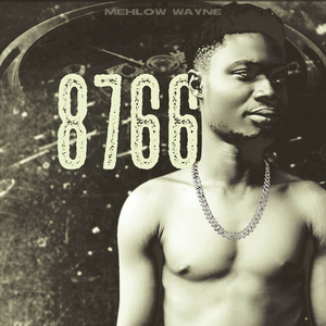 8766-TTBT