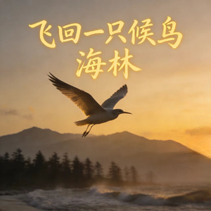 飞回一只候鸟(归乡版)