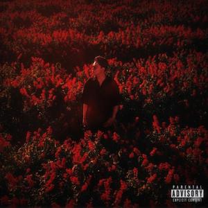 ใจฉันตามเธอไป (Guitar Instrumental)