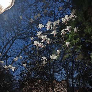 你是我心底的刺与诗