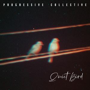 Quiet Bird