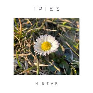 Nietak