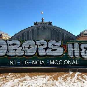 Inteligencia Emocional