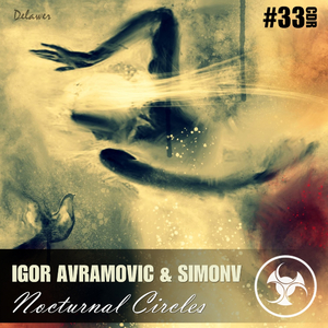 Nocturnal Circles (Original Mix)