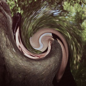 Unforeseeing