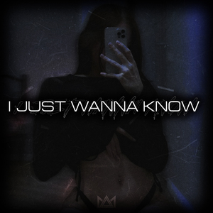 I JUST WANNA KNOW