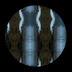 Loosing Touch With Reality