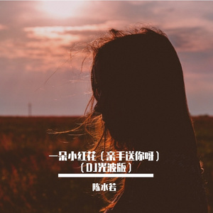 一朵小红花（亲手送你呀）DJ光波版