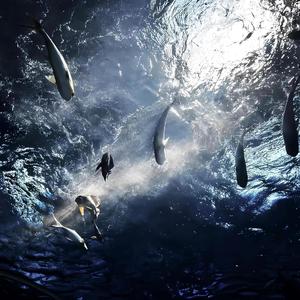 是我不够好（DJ小辞Remix）