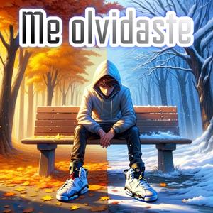 me olvidaste