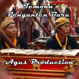 Temoan Penganten Baru