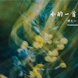 蜜酿春天