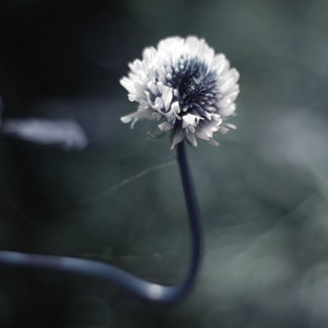 阴天在不开灯的房间