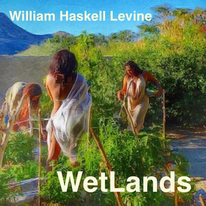 Wetlands