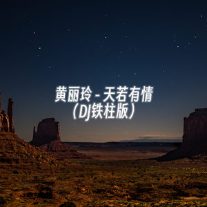 天若有情（DJ铁柱版）