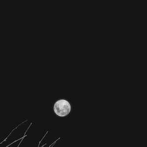 不待(Cover：忱忱老板)