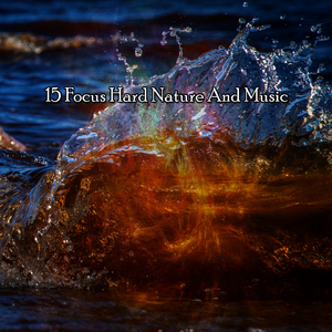 提升到更高的存在