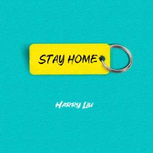 Harry Liu - Stay Home (Original Mix)