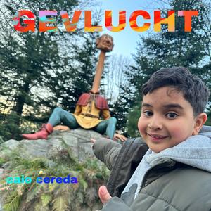 Gevlucht