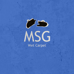 Msg