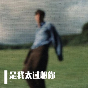 是我太过想你（原版）