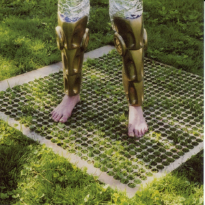 Get Wolf Boy and Get in Context