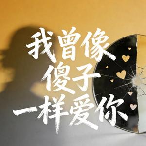 我曾像傻子一样爱你