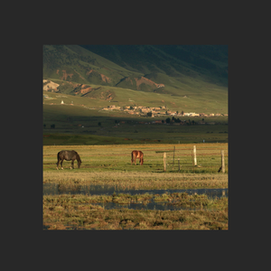 "理塘"中国风&民族&Afrobeat&CashTrippy Type Beat