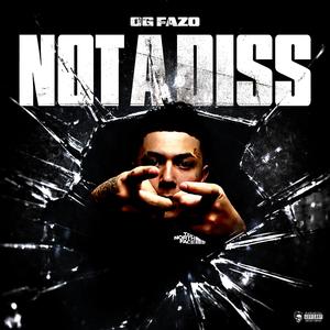 NOT A DISS