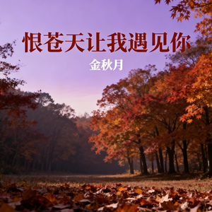 恨苍天让我遇见你(伴奏)