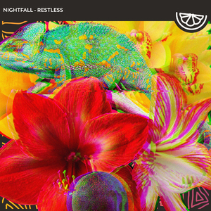 Restless (Original Mix)