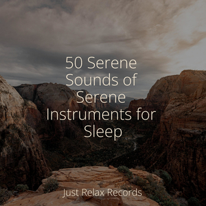 Ocean's Endless Calling