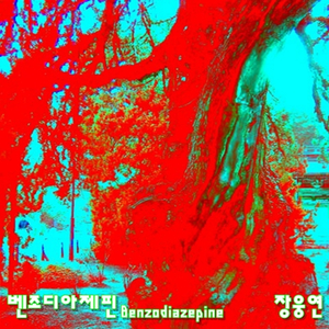 벤조디아제핀 (Benzodiazepine)