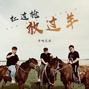 扛过枪 放过羊(DJ亦辰版）