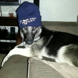 【FREE】“黑手”顶级孟菲斯伴奏APMOZART Keyglock TYPE BEAT