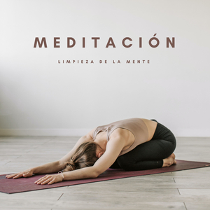 Experiencia De Sentimientos