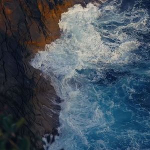 《平仄间的古风雅韵》WoW橙子奶昔