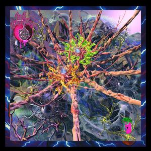 BLISS MODE | PHD FLOPPER