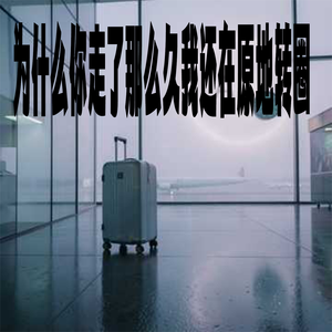 为什么你走了那么久我还在原地转圈