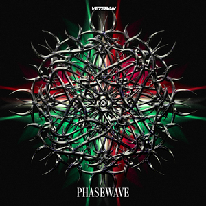 veteran (Slowed + Reverb)