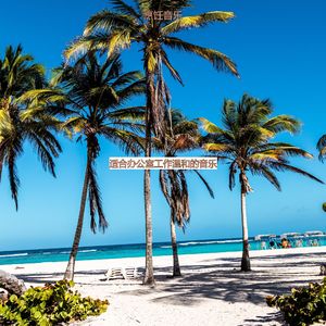 办公事务雅观的爵士