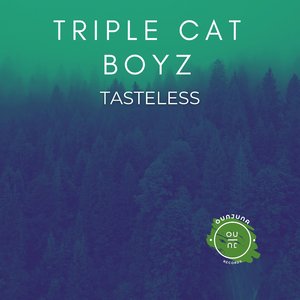 Tasteless (Original mix)