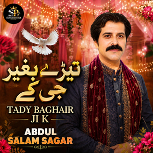TADY BAGHAIR JI K